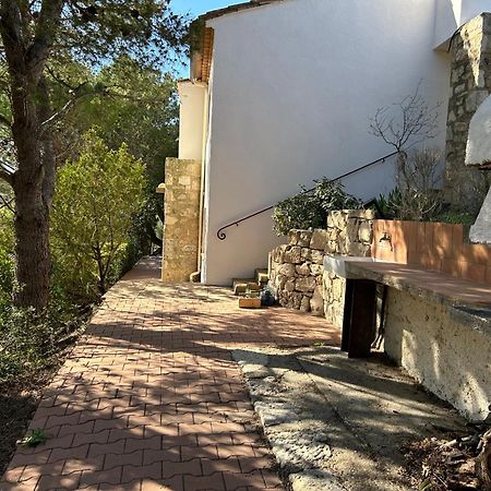 Grand T2 Bis Avec Terrasse Et Vue Διαμέρισμα Portel-des-Corbieres Εξωτερικό φωτογραφία